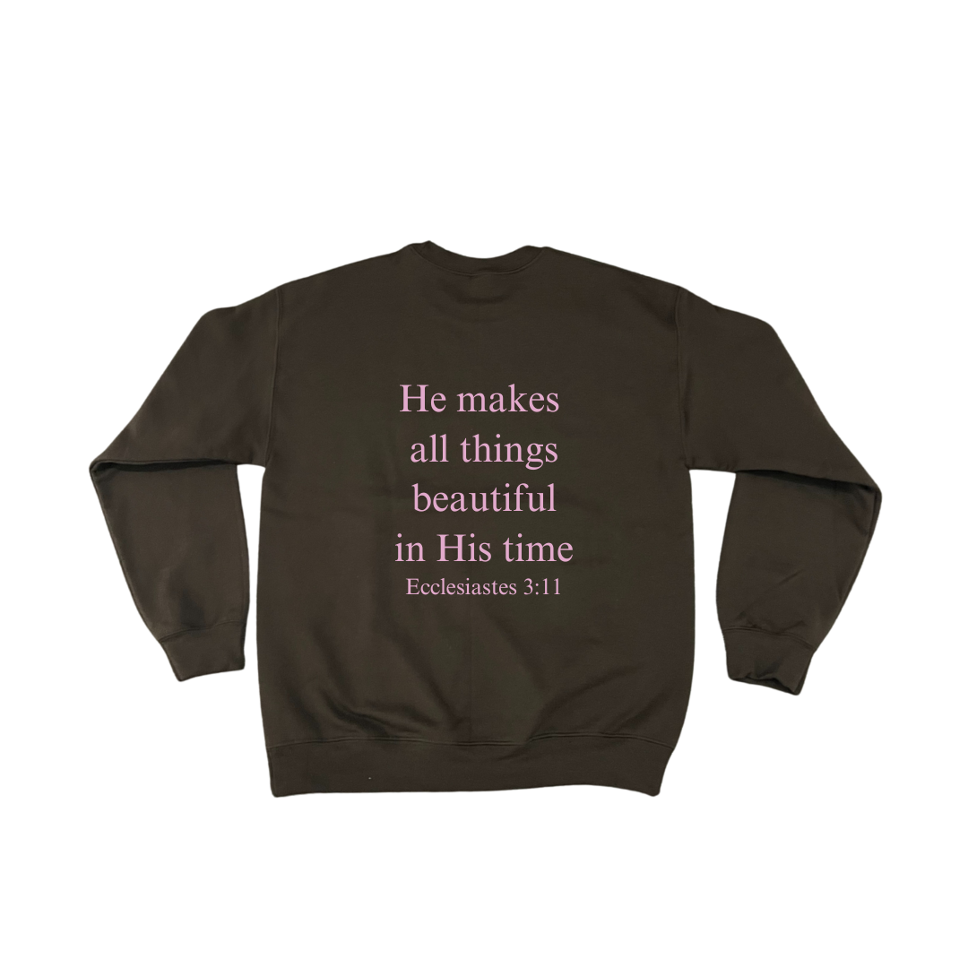 Ecclesiastes 3:11 Sweatshirt
