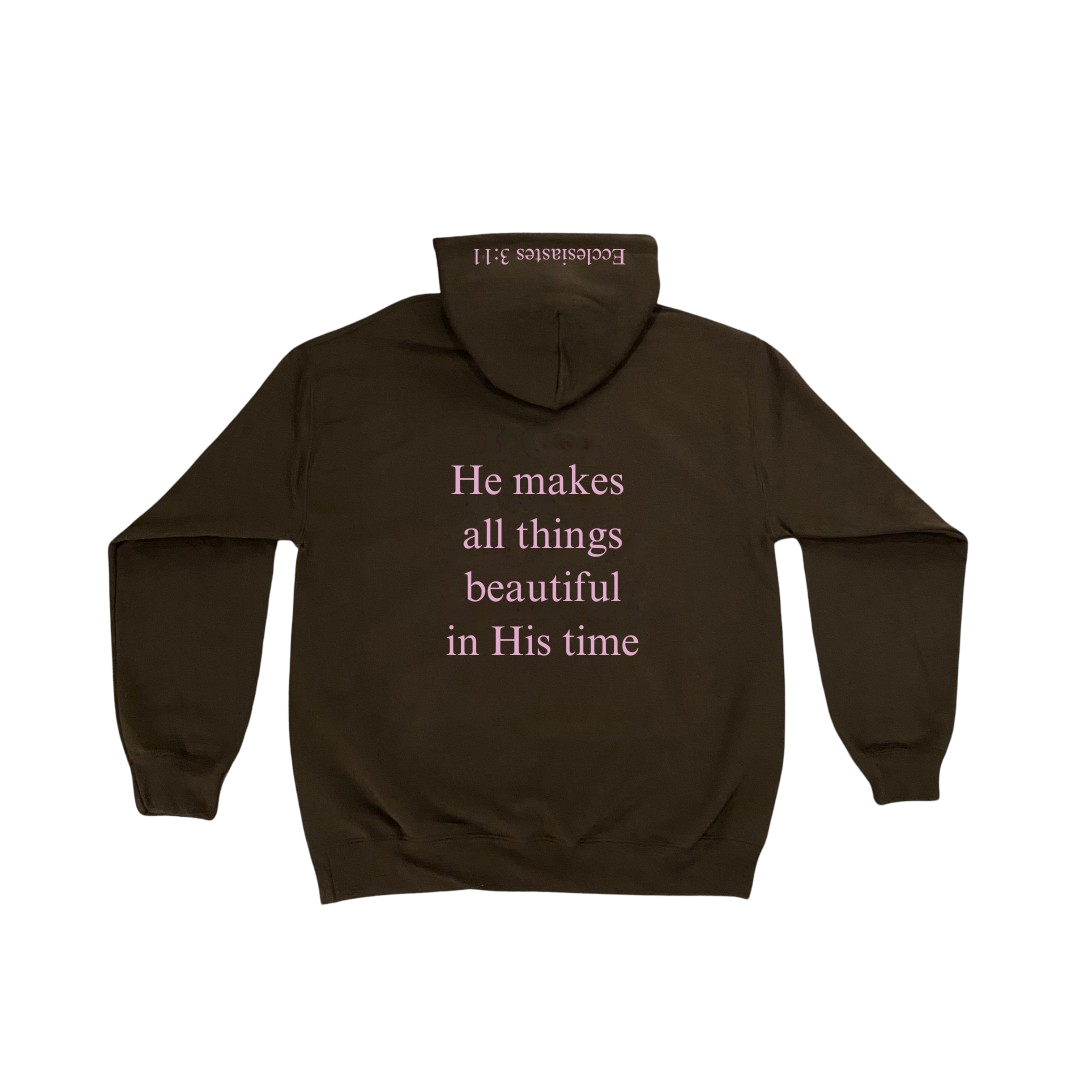 Ecclesiastes 3:11 Hoodie