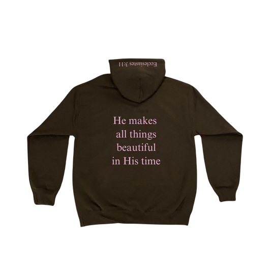 Ecclesiastes 3:11 Hoodie