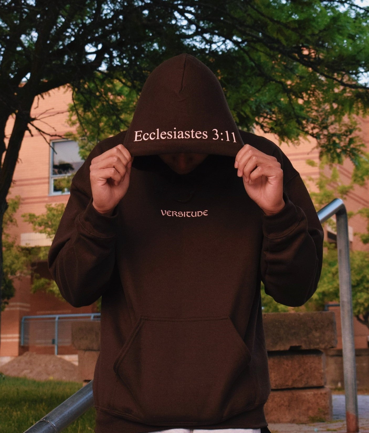 Ecclesiastes 3:11 Hoodie