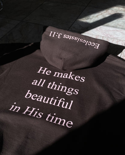 Ecclesiastes 3:11 Hoodie