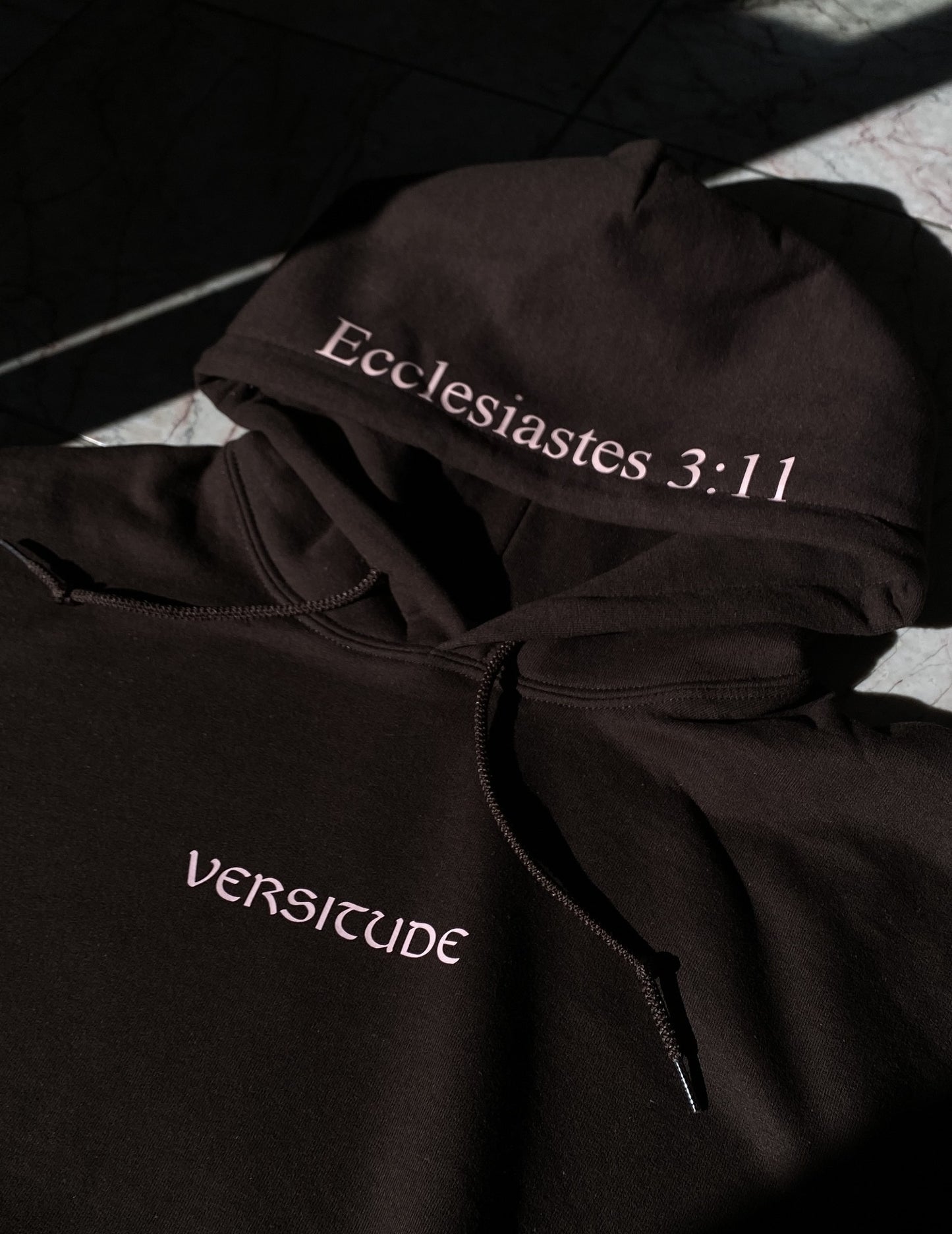 Ecclesiastes 3:11 Hoodie